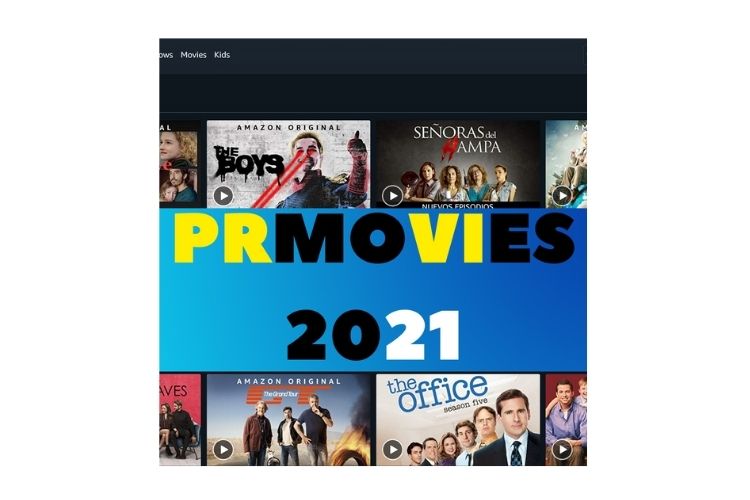 Prmovies netflix best sale