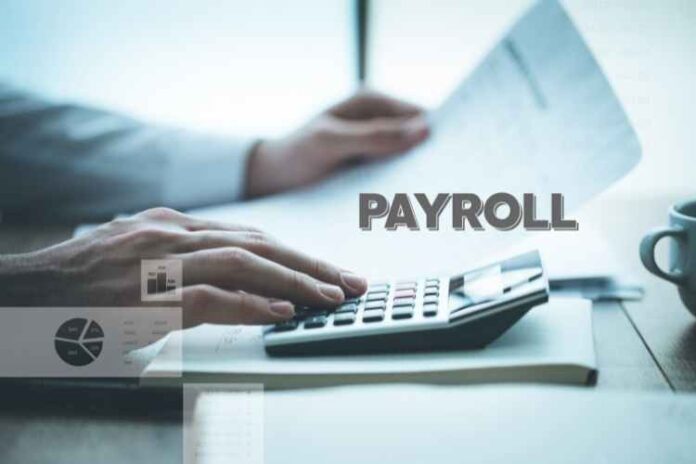 Online Payroll Services to Streamline your Processes