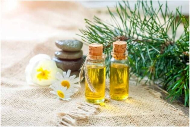 The Best Essential Oils for Home Fragrance - Journals Mag