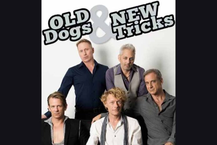 Old Dogs & New Tricks