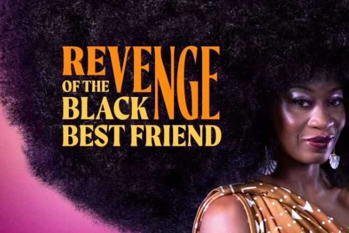 Revenge of the Black Best Friend