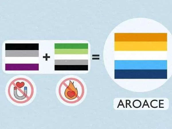 Aroace Flag: Get All The Details About What Aroace and Meaning of Its Flag!