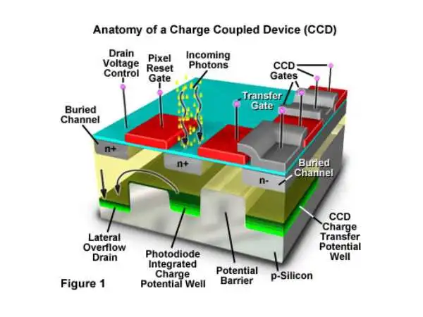 Charge Coupled Device (CCD): Working Principle, Formats, Noise, and Real-World Uses